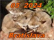 Ba 05-2024